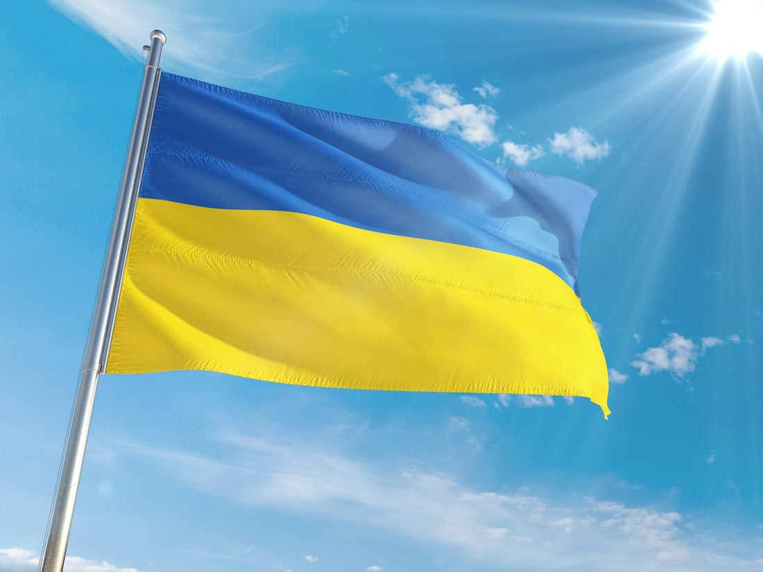 Як святкують День Конституції України